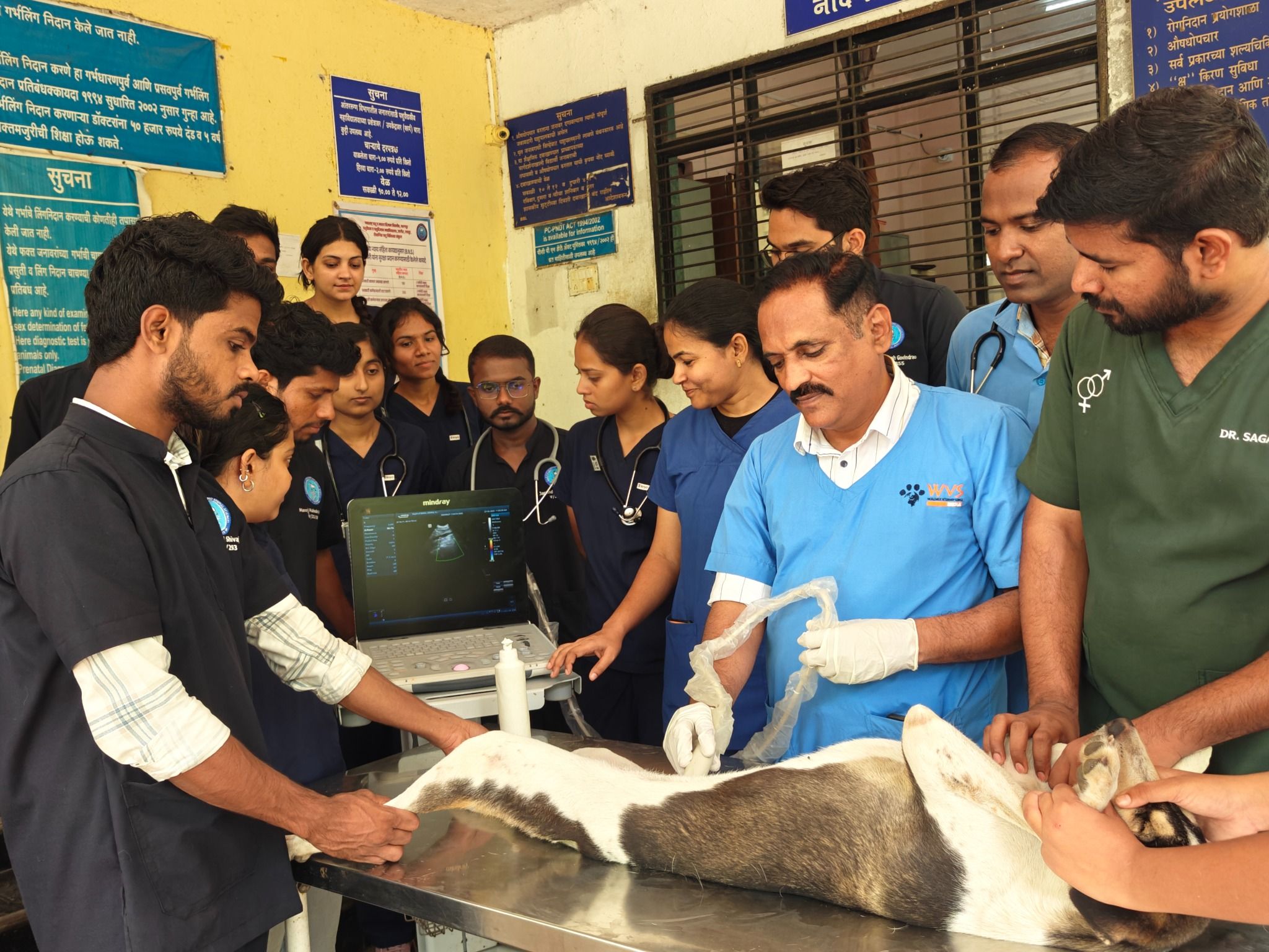 Gynecology Veterinary Clinical Complex Ultrasonography Unit2